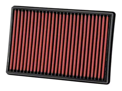 AEM Induction 02-07 Dodge Ram 3.7L V6 /4.7L-5.9L V8 Dryflow Panel Air - 28-20247