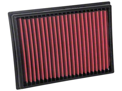 AEM Induction 10-19 Toyota 4 Runner V6-4.0L F/I DryFlow Filter - 28-20438