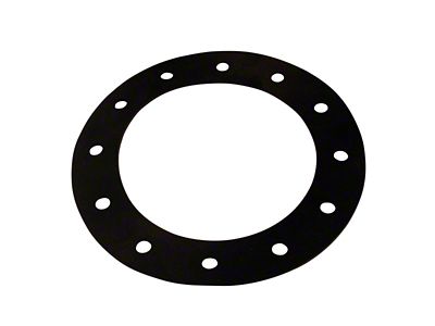 Aeromotive Fuel Cell Filler Neck Replacement Gasket - 18013