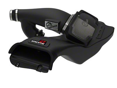 AFE Momentum GT Pro Dry S Intake System 21-22 - 50-70099D