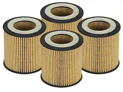 AFE Pro GUARD D2 Oil Filter 06-19 Gas Cars - 44-LF029-MB