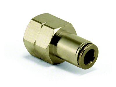 Air Lift Straight Female - 1/4in FNPT X 1/4in PTC - 21810