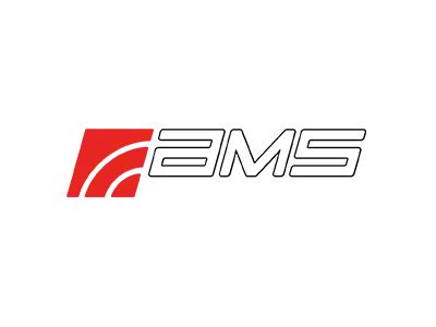 AMS Performance Repl Air Filter - P2975H-1B