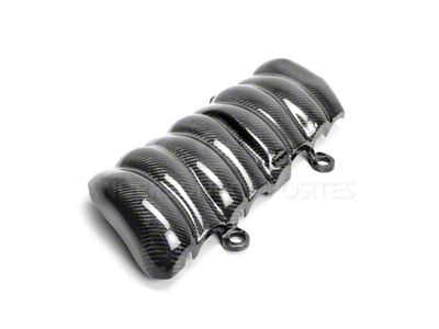 Anderson Composites For LS Motors Engine Cover - AC-LSMEC