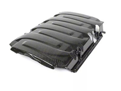 APR Performance Carbon Fiber Engine Plenum Cover Camaro - CBE-CMOEEN