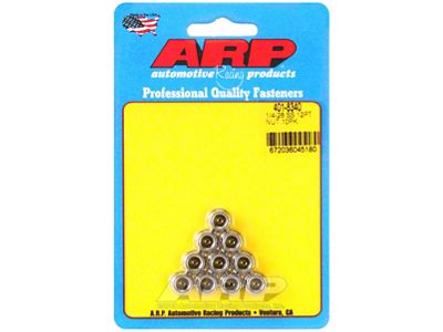ARP 1/4-20in SS 12pt Nut Kit 10/pkg - 401-8340