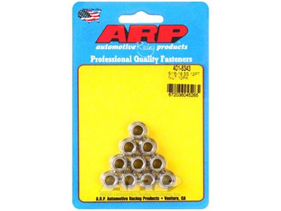 ARP 5/16-18 12PT Nut Kit SS - 10 PK - 401-8343