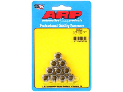 ARP 5/16-24 SS 12pt Nut Kit - 400-8331