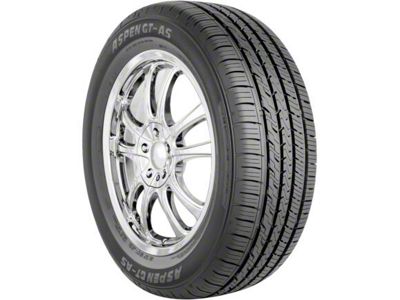Aspen GT-AS SRI Tire (205/60R15)