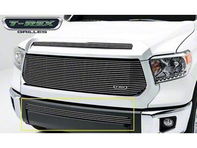 T-REX Grilles Billet Series Bumper Grille; Horizontal; Aluminum; Polished; 1 Pc; Overlay; - 25964