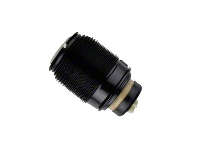 Bilstein 15-16 Mercedes-Benz CLS400 B3 OE Replacement Air Suspension Spring - 40-303444
