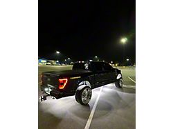 Black Flag Lighting 120 LED Chip Pure White Rock Lights with Extensions; Magnetic Mount; Set of 24 (Universal; Some Adaptation May Be Required)