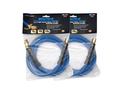 BluBird 3/8-Inch Male-NPT Rubber Air Hose Whip/Snubber; 3/8-Inch x 5-Foot; 2-Pack