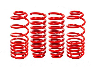BMR 02-09 Trailblazer Lower Springs Set of 4 2in-3in Drop - SP640R