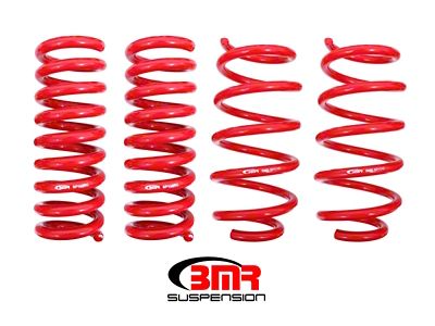 BMR 08-19 Dodge Challenger Lowering Springs 1.25in Drop - Set - SP110R