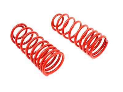 BMR 82-02 3rd Gen F-Body Rear Lowering Springs - Red - SP003R