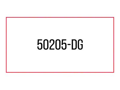 Body Armor 4x4 02-18 Dodge Ram 1500 2WD 2in Coil - 50205-DG