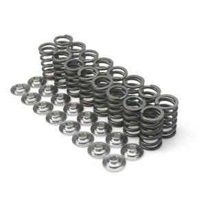 245/30/24 Performance Tires Brian Crower Valve Spring 2JZ, Set Of