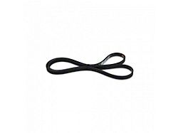 Kraftwerks Replacement Belt (12-15 Civic Si)