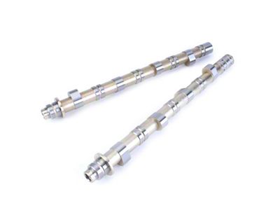 Skunk2 Racing BMF1 Camshafts (06-10 Civic Si)