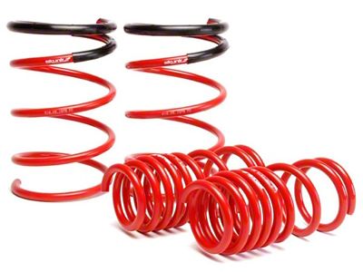 Skunk2 Racing Lowering Springs 2.25in - Si Hatchback (02-05 Civic Si)