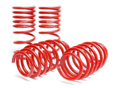 Skunk2 Racing 06-09 Honda Civic Lowering Springs 2.25in - 2.00in. Set - 519-05-1580