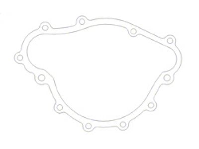 Cometic Pontiac 265/301/350/400/428/455 V8 .031in Fiber Water Pump Gasket - C5149-031