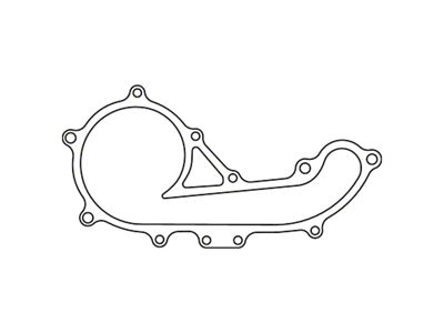 Cometic Toyota 2RZ-FE/3RZ-FE .020in Fiber Water Pump Gasket - 1997-2004 - C4835-020