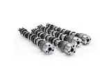 Comp Cams Camshaft Set 11-14 Ford Coyote 5.0L M Thumpr - 191710