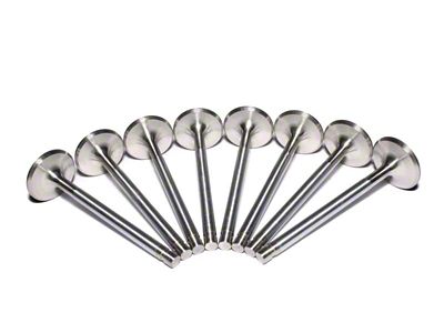 Comp Cams Ss Valves SBC Exh 1.600in 11/3 - 6012-8