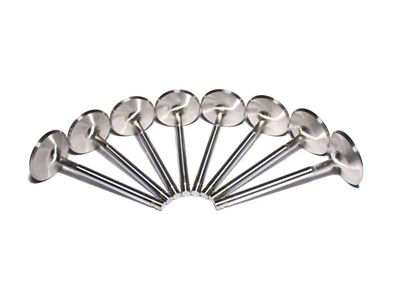 Comp Cams Ss Valves SBC Int 2.020in 11/3 - 6009-8