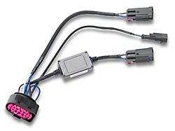 Morimoto Conversion Harness: Ram OEM Projector Headlights 13-18 - H125