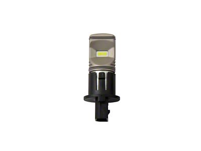 Diode Dynamics PH16W HP60 - Cool - White LED Bulb - DD0434S