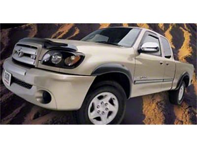 EGR 00-06 Toyota Tundra Rugged Look Fender Flares - Set - 754694