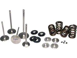 Ferrea Acura/Honda B18/B16 High Pressure Dual Spring Kit - KT4002