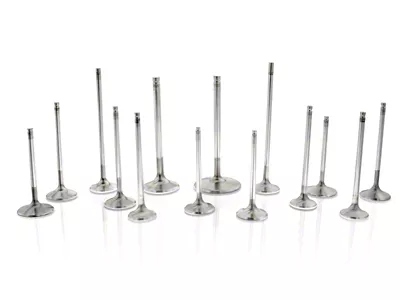 Ferrea BMW S54 30.5mm 5.96mm 119.2mm 30 Deg Taper Stk - F2360P-1