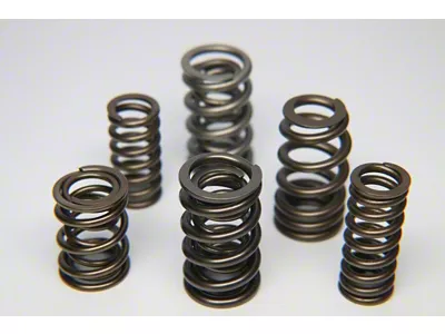 Ferrea BMW S54 Dual Valve Spring - Set of 24 - S10156