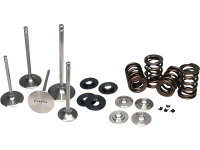 Ferrea Dodge Viper Gen 4/5 Beehive Spring Kit - KT4031