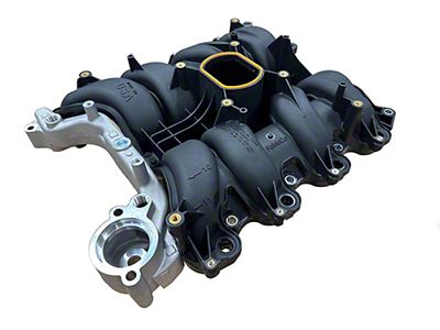 Ford Performance 01-04 Mustang GT 4.6L SOHC 2V Perf Improvement - M-9424-P46A