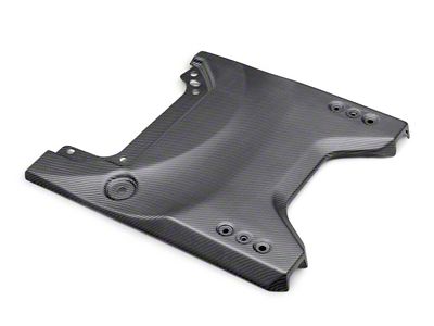 Ford Performance 22-24 Bronco Raptor Carbon Fiver Tailgate Applique - M-16600-BM