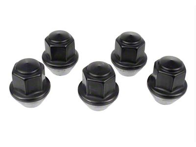 Ford Performance M12 x 1.5 Black Lug Nut - Set - M-1012-BSB