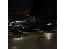 Ford Performance Under Body Rock Light Kit - White 