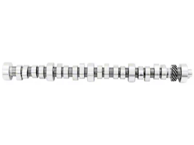 Ford Performance Small Block V-8 Hydraulic Roller Tappet Camshafts - M-6250-B303