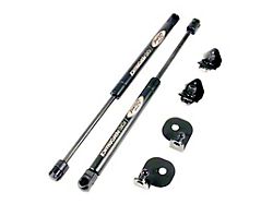 Ford Performance 05-14 Mustang Hood Lift Kit w/ Laser Engraved - M-16826-M