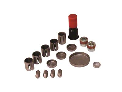 Ford Performance 4.6 Liter Aluminum Block Plug and Dowel Kit