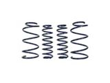 Ford Performance 2013 Cobra Jet Spring Kit - M-5300-RA