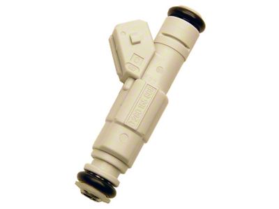 FAST Injector Single 36-Lb/hr - 303600