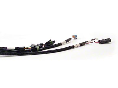 FAST Wiring Harness Main - 301100