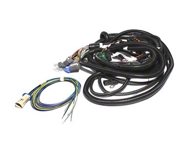 FAST Wiring Harness Main LT1 - 301101