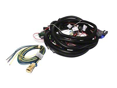 FAST Wiring Harness Main Drag - 301106